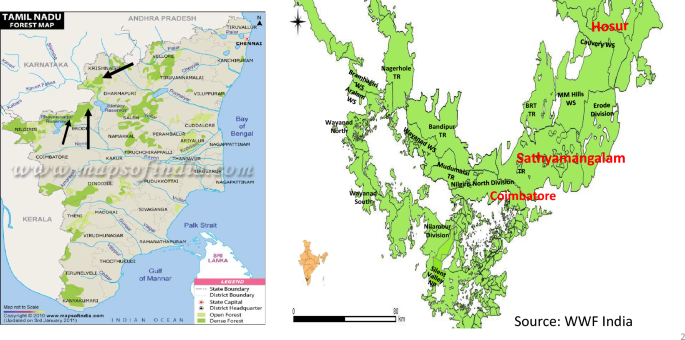 Rapid assessment of human–elephant conflict: a crime science 