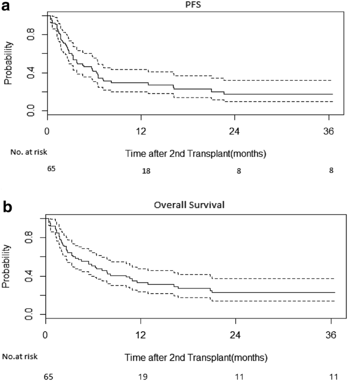 Outcomes Following Second Allogeneic Stem Cell Transplant For Disease Relapse After T Cell Depleted Transplant Correlate With Remission Status And Remission Duration After The First Transplant Experimental Hematology Oncology