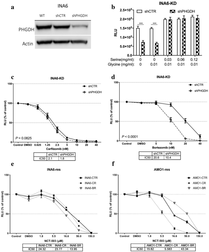 Targeting Phosphoglycerate Dehydrogenase In Multiple Myeloma Experimental Hematology Oncology Full Text