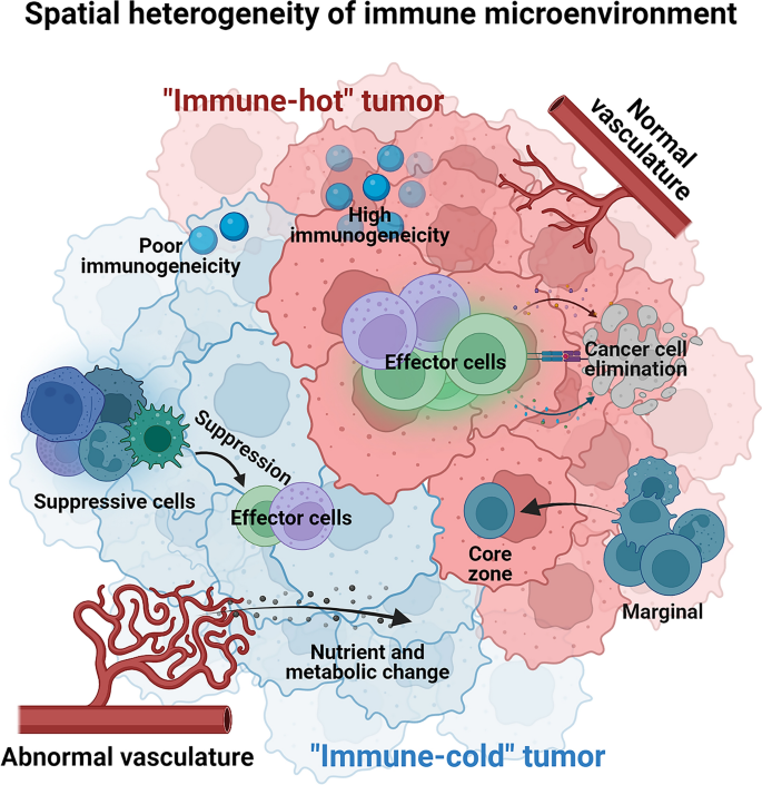 Cellular heterogeneity and immune microenvironment revealed by