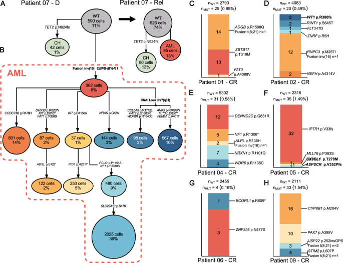 Resolving intra-tumor heterogeneity and clonal evolution of core ...