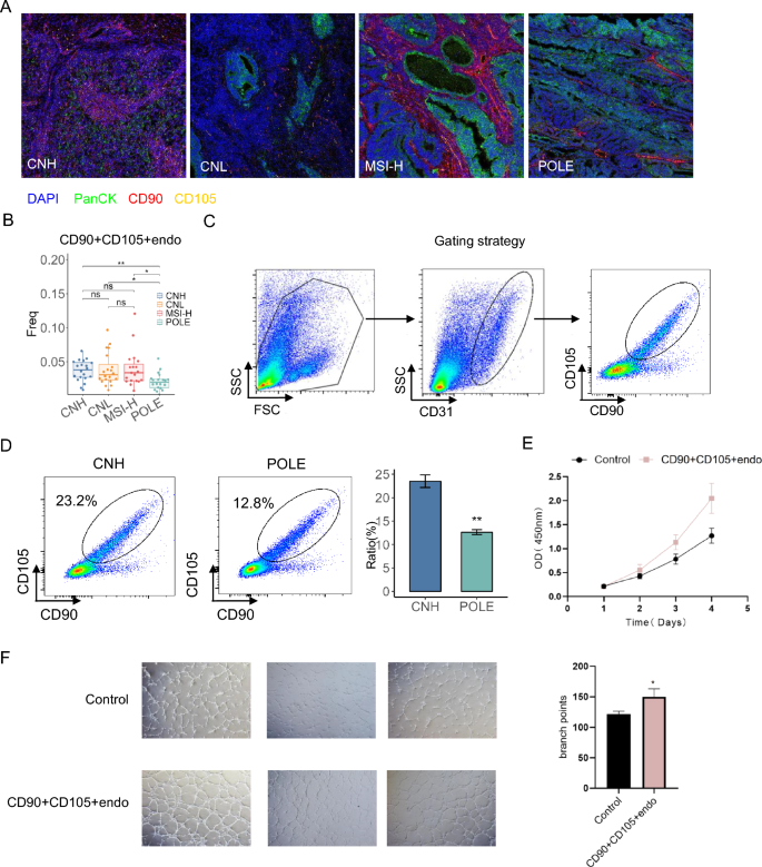 Spatial ecostructural modelling of endometrial cancer identifies the ...