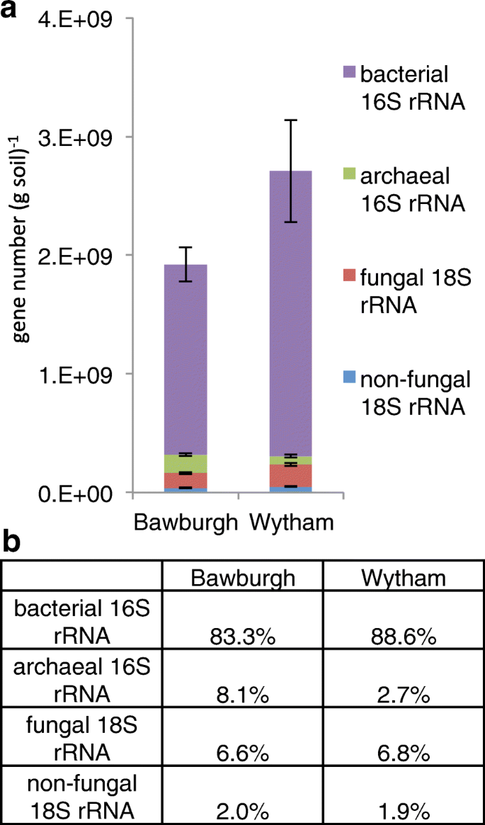 microbiota abundance