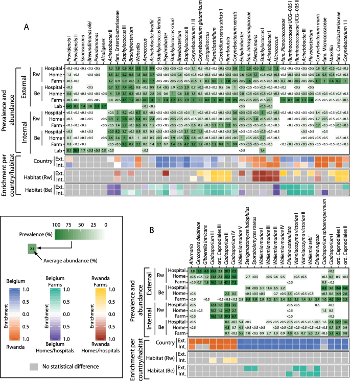 Microbial Communities Of The House Fly Musca Domestica Vary With Geographical Location And Habitat Microbiome Full Text