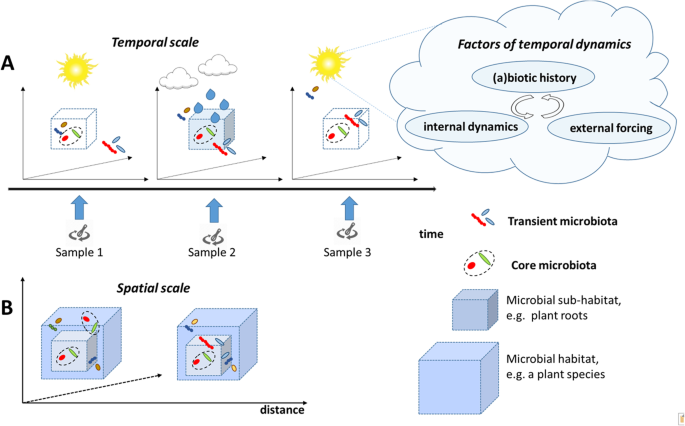 Microbiome Definition Re Visited Old Concepts And New Challenges Microbiome Full Text