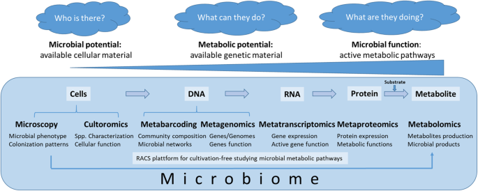 Microbiome definition re-visited: old concepts and new challenges |  Microbiome | Full Text