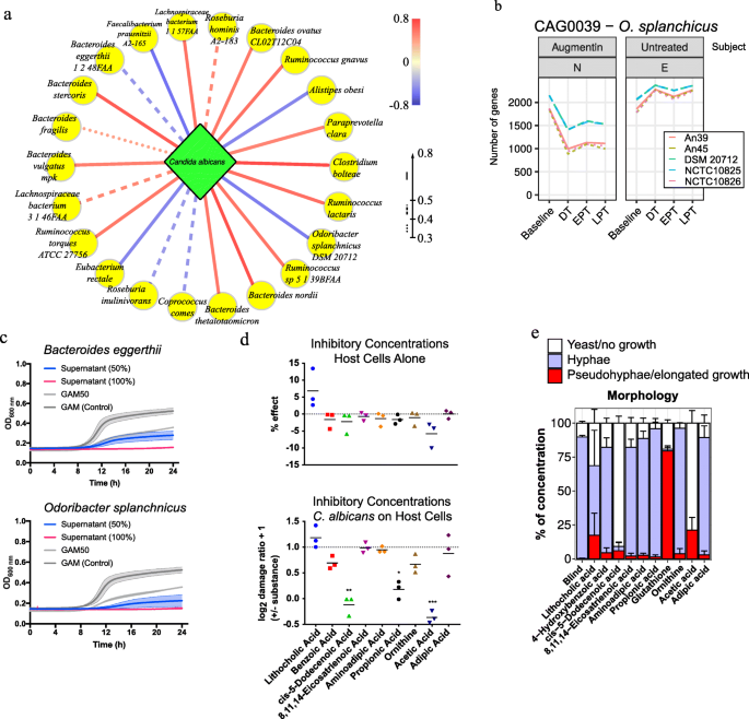 Antibiotics Create A Shift From Mutualism To Competition In Human Gut Communities With A Longer Lasting Impact On Fungi Than Bacteria Microbiome Full Text