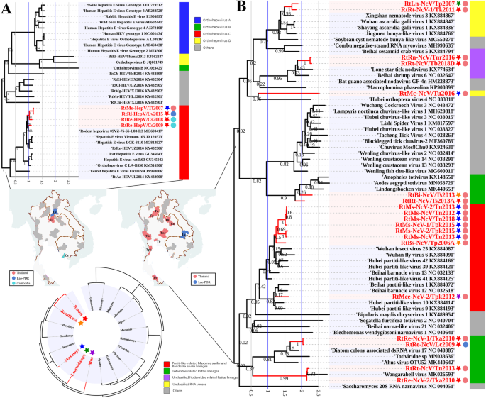 Decoding The Rna Viromes In Rodent Lungs Provides New Insight Into The Origin And Evolutionary Patterns Of Rodent Borne Pathogens In Mainland Southeast Asia Microbiome Full Text