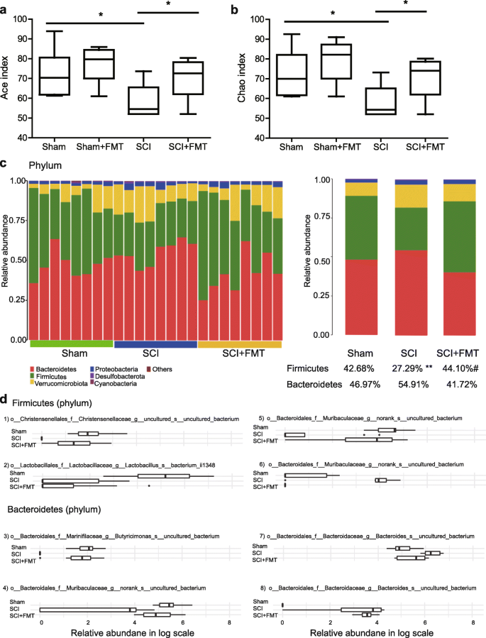 Effect Of Fecal Microbiota Transplantation On Neurological Restoration In A Spinal Cord Injury Mouse Model Involvement Of Brain Gut Axis Microbiome Full Text