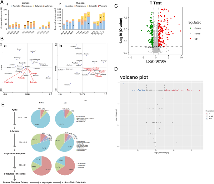 xylitol dysbiosis vierme rotund mediu