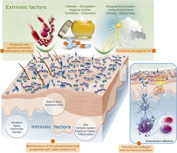 Các tác nhân ảnh hưởng đến Microbiome 