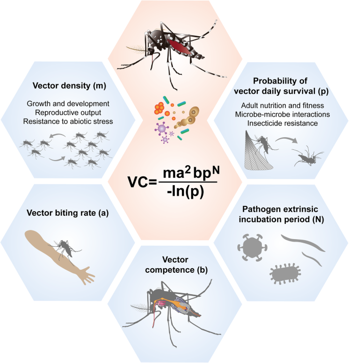 40168 2021 1073 Fig1 HTML What are the Negative Effects of Mosquitoes? Unveiled Risks
