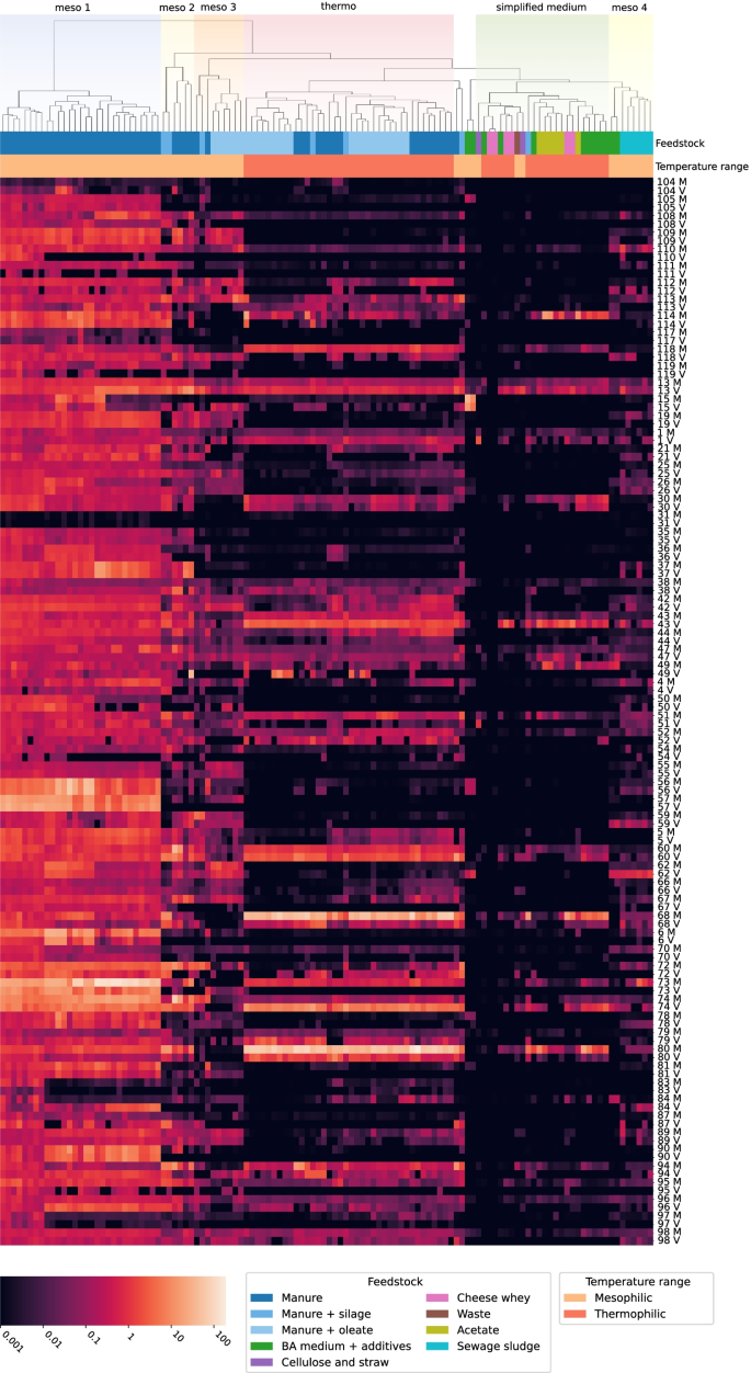 How organic overloads affect the anaerobic digesters microbiome