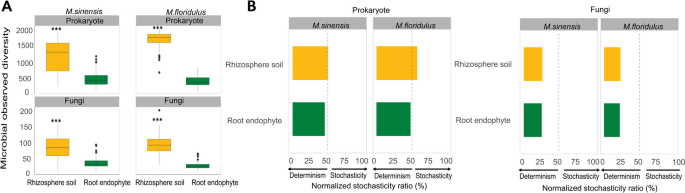 宿主植物の遺伝学が、どのような微生物を引き寄せるかを決定する(Genetics of host plants determine what microorganisms they attract)