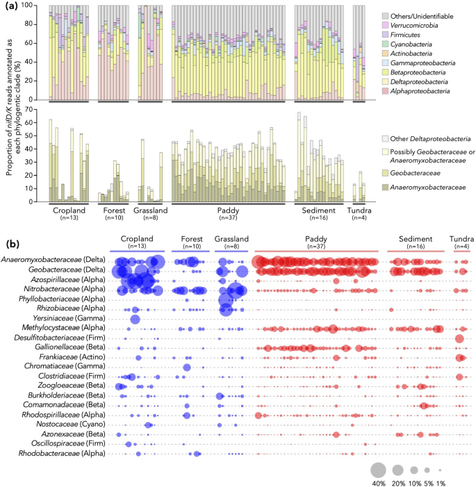 discussion pcr results figure 3