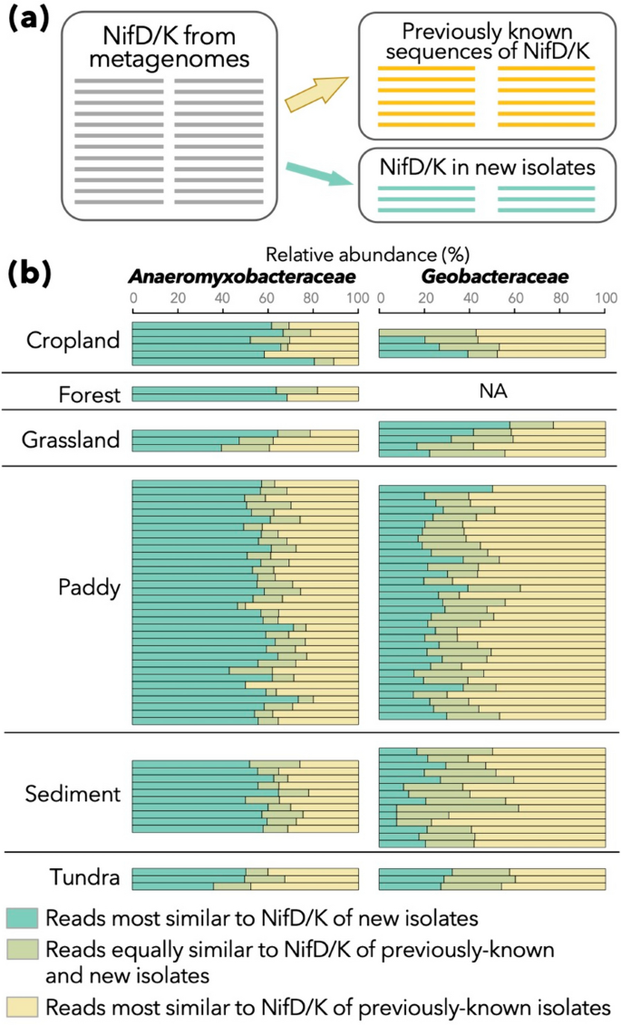 discussion pcr results figure 4