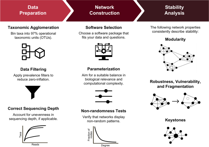 Networks as tools for defining emergent properties of microbiomes 