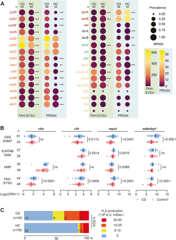 hypothesis of bacterial growth figure 2