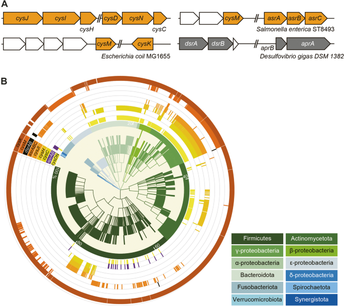 hypothesis of bacterial growth figure 3