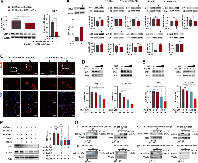 igf-1 lr3 results reddit IGF-1 LR3 in Aesthetic and Anti-Aging Medicine: Benefits and Risks