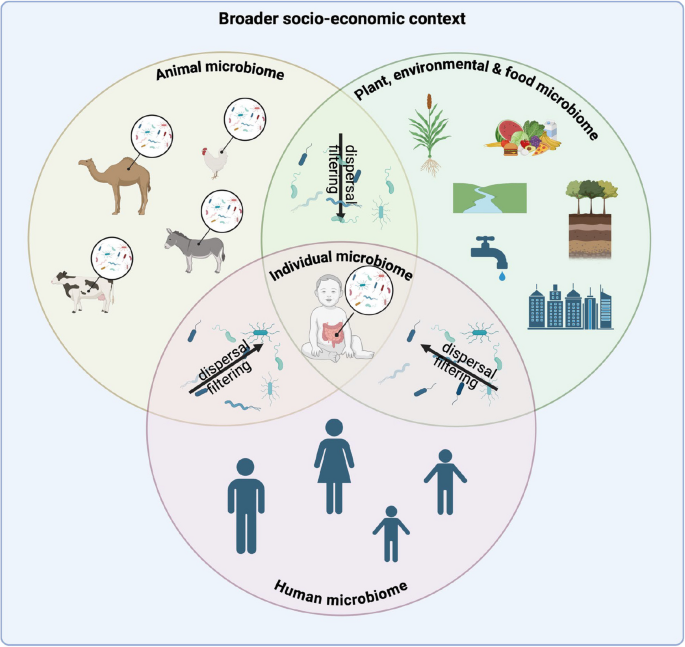 One Health, One Microbiome – BioMed Central
