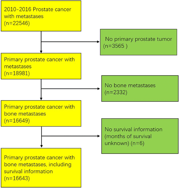 icd 10 metastatic prostate cancer)