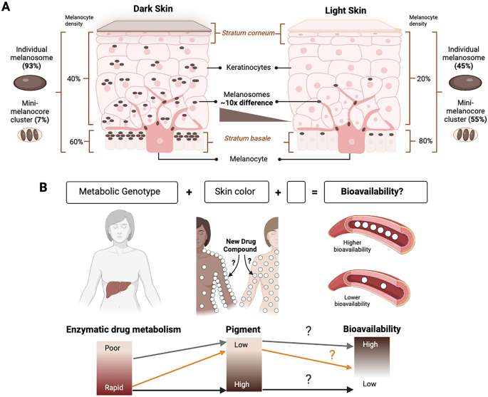 肌の色が薬に与える影響(How your skin tone could affect your meds)
