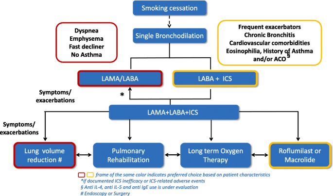 Treatment of COPD: the simplicity is a resolved complexity |  Multidisciplinary Respiratory Medicine | Full Text