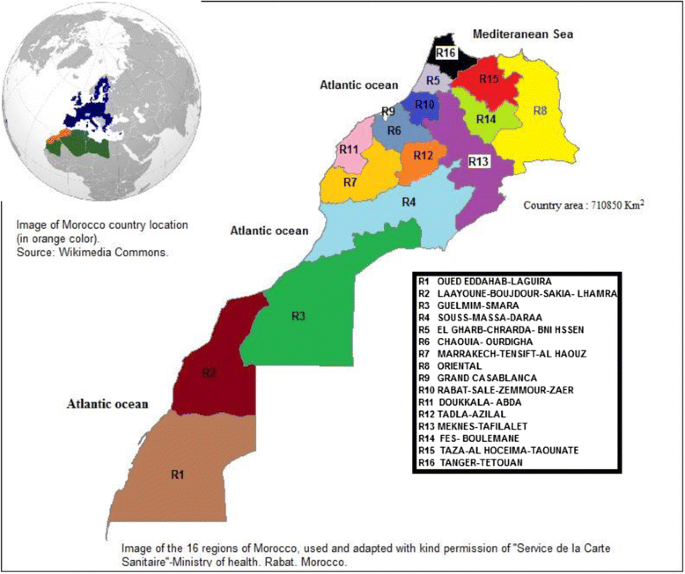 Spatial patterns and secular trends in human leishmaniasis incidence in Morocco between 2003 and 2013 | SpringerLink Spatial... 