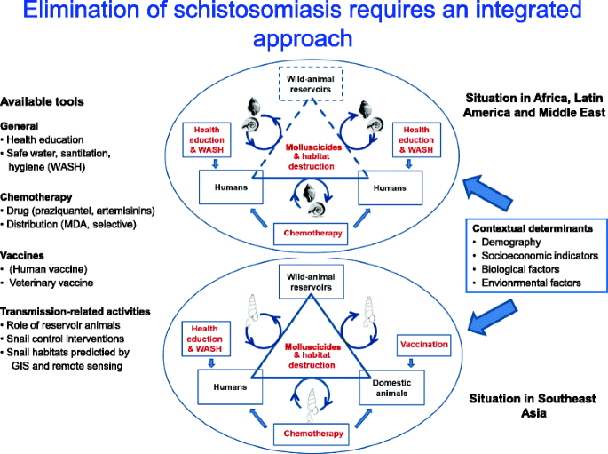 schistosomiasis control