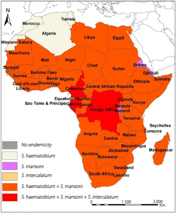 schistosomiasis geographical distribution