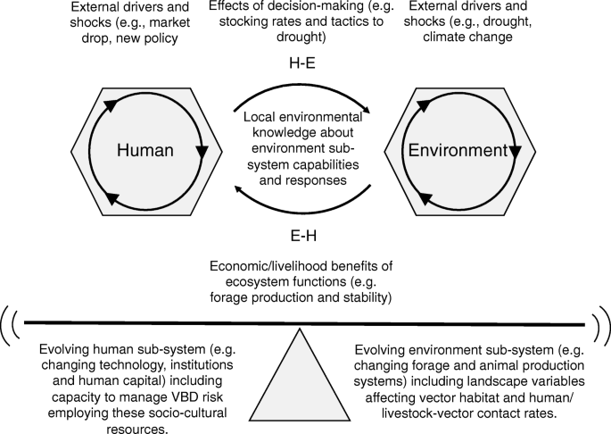 Epidemiological triad of vector?borne diseases.