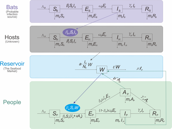 A Mathematical Model For Simulating The Phase Based Transmissibility Of A Novel Coronavirus Infectious Diseases Of Poverty Full Text