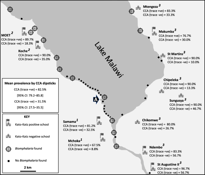 Schistosomiasis malawi-tó. Nyasza-tó – Wikipédia