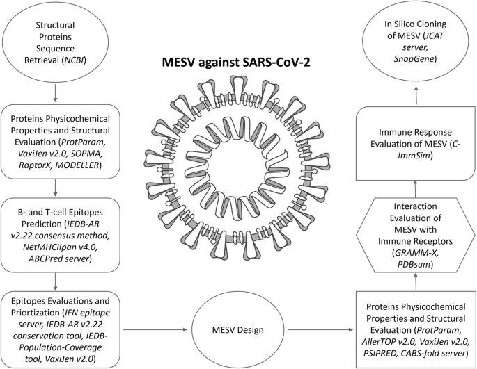 Reverse Vaccinology Assisted Designing Of Multiepitope Based Subunit Vaccine Against Sars Cov 2 Infectious Diseases Of Poverty Full Text