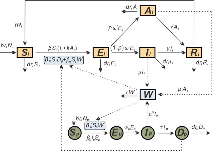 Feasibility Of Controlling Hepatitis E In Jiangsu Province China A Modelling Study Infectious Diseases Of Poverty Full Text Feasibility Of Controlling Hepatitis E In Jiangsu Province China A Modelling Study Infectious Diseases Of Poverty Full Text
