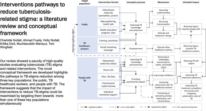 literature review on tuberculosis