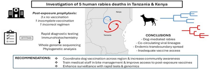 Molecular characterisation of human rabies in Tanzania and Kenya: a ...