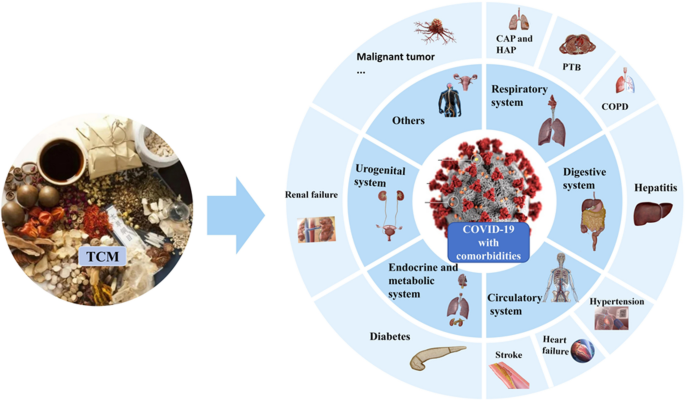 Recent advancements in traditional Chinese medicine for COVID-19 with ...