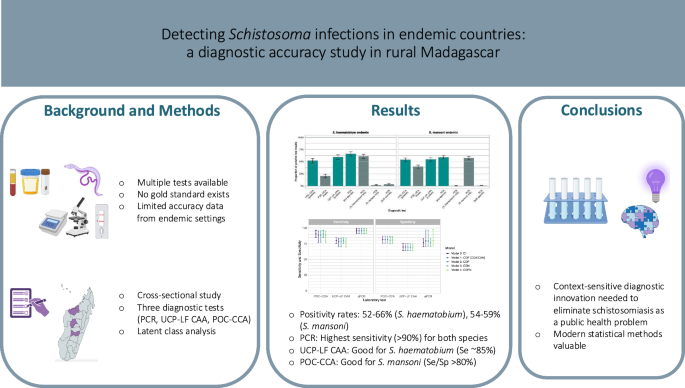 Detecting Schistosoma infections in endemic countries: a diagnostic ...