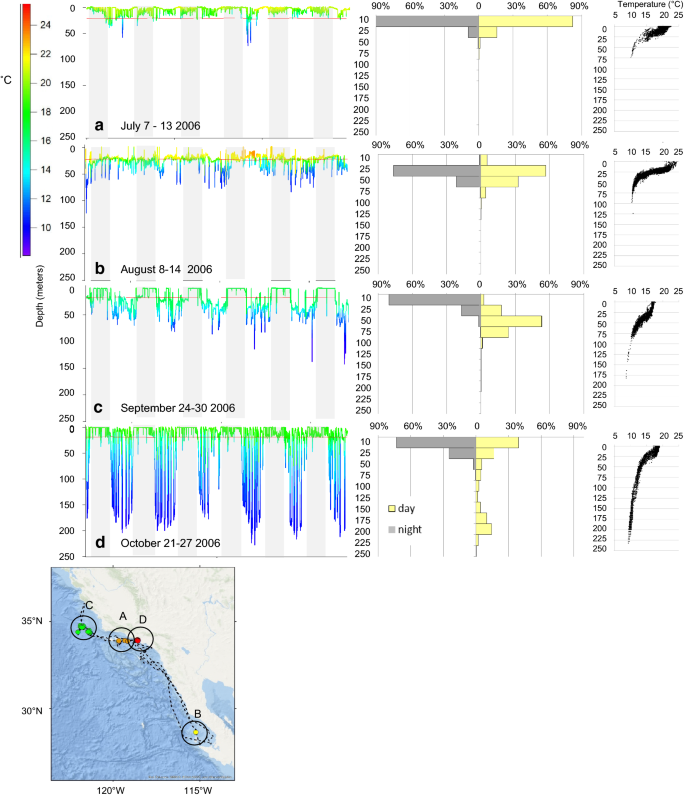 Movements Of Electronically ged Shortfin Mako Sharks Isurus Oxyrinchus In The Eastern North Pacific Ocean Animal Biotelemetry Full Text