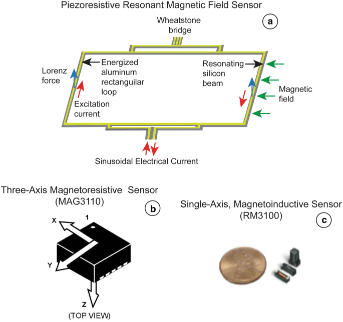 An Overview Of Behavioral Physiological And Environmental Sensors Used In Animal Biotelemetry And Biologging Studies Animal Biotelemetry Full Text