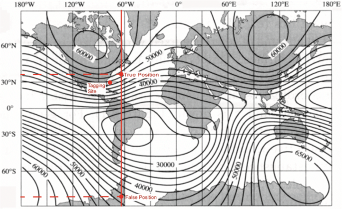 figure 20