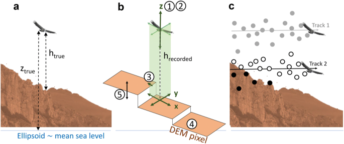 The challenges of estimating the distribution of flight heights from  telemetry or altimetry data | Animal Biotelemetry | Full Text