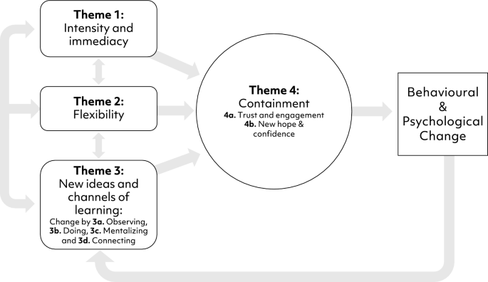 Clinician perspectives on how change occurs in multi-family 