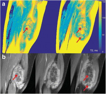 figure 171