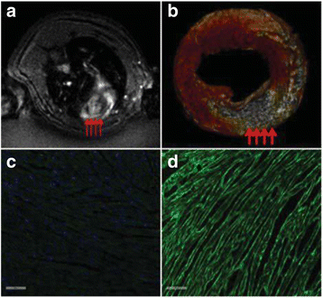 figure 172