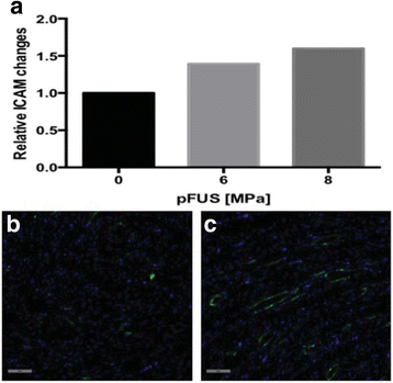 figure 174