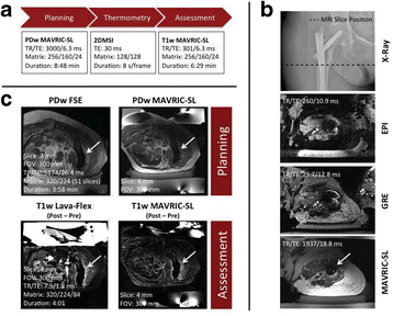 figure 32