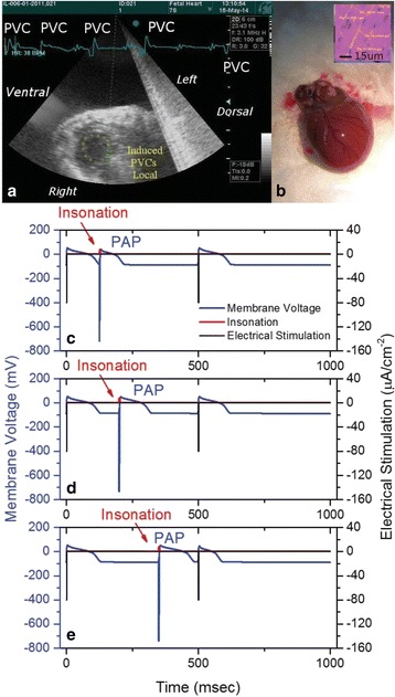 figure 74